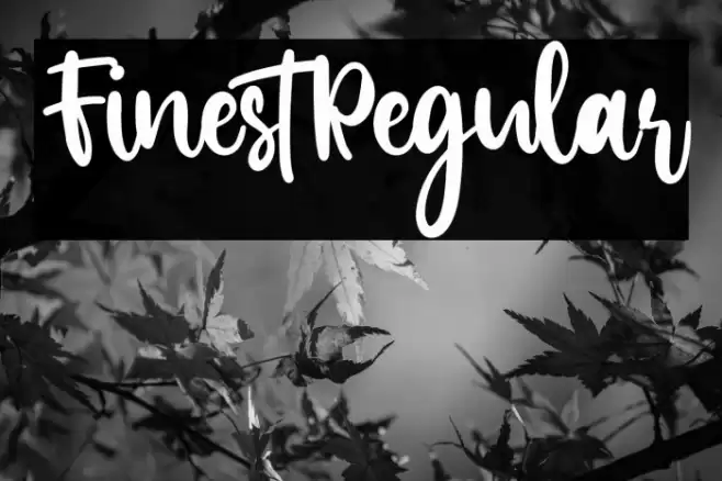 FinestRegular Font examples