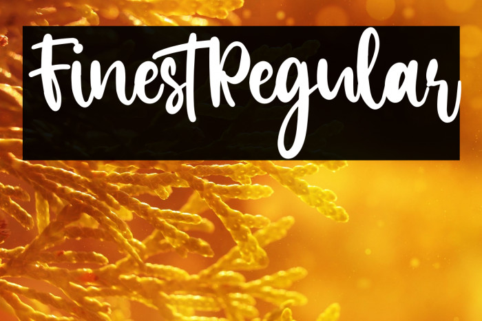FinestRegular Example 3