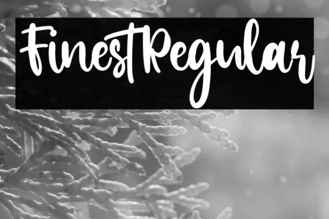 FinestRegular Font examples