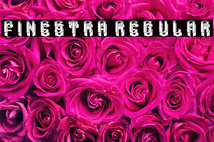 Finestra Regular Example 1