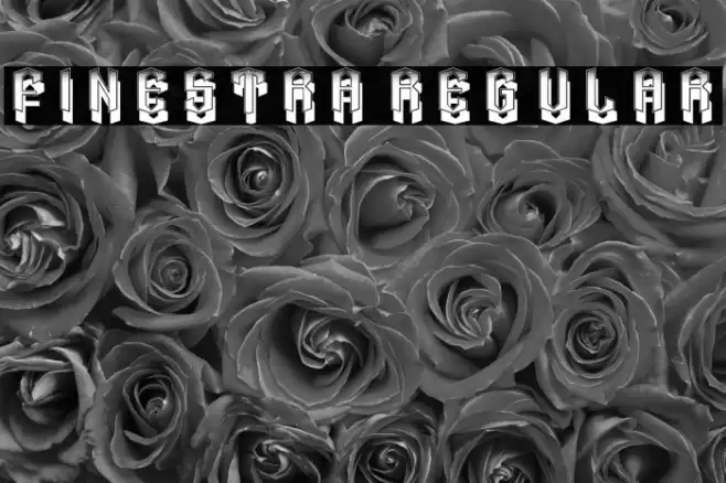 Finestra Regular Font examples