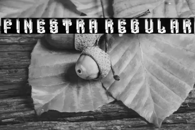 Finestra Regular Font examples