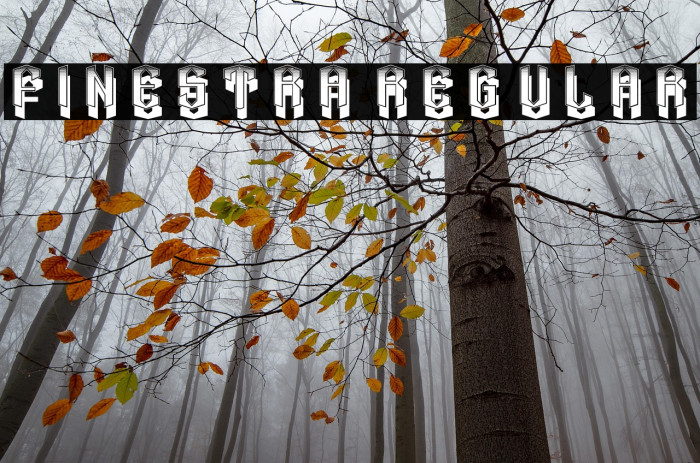 Finestra Regular Example 3