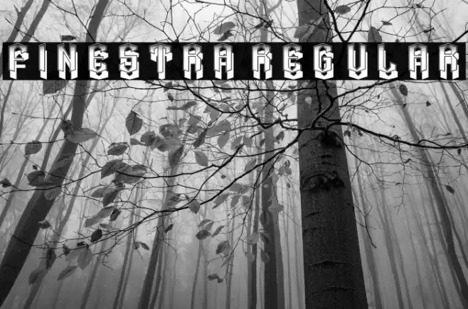 Finestra Regular Font examples