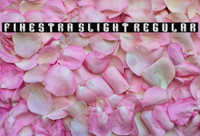 Finestra Slight Regular Example 1