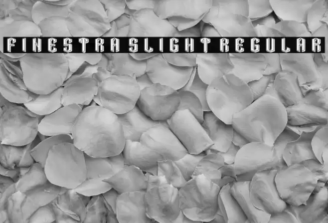 Finestra Slight Regular Font examples