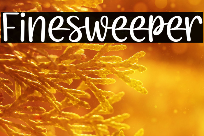 Finesweeper Example 2