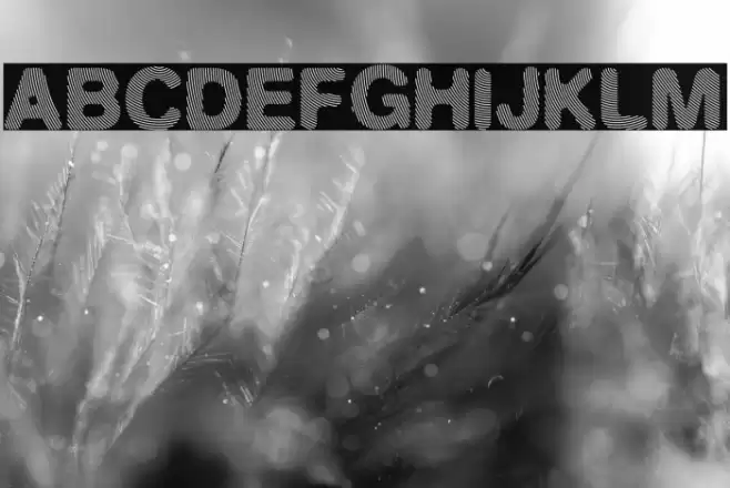 Finger Line Schriftart examples