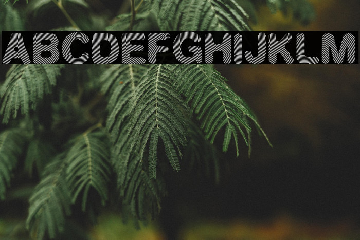 Finger Line Example 2