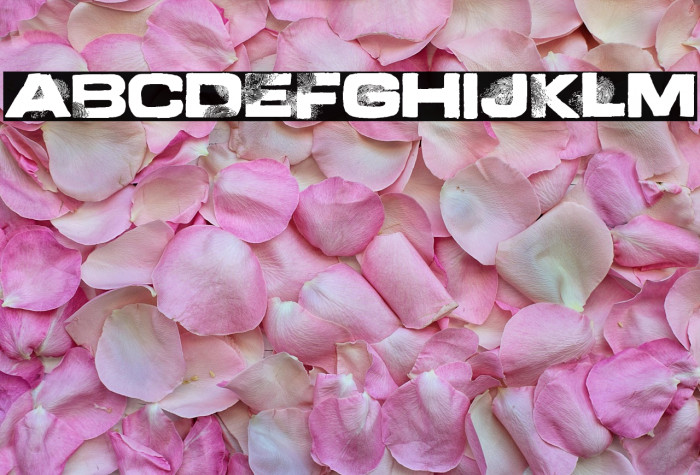 Finger Printed Example 1