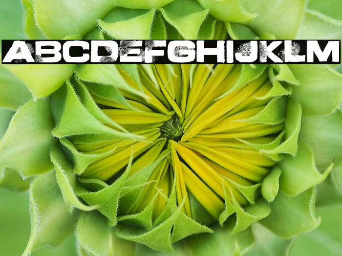 Finger Printed Example 3