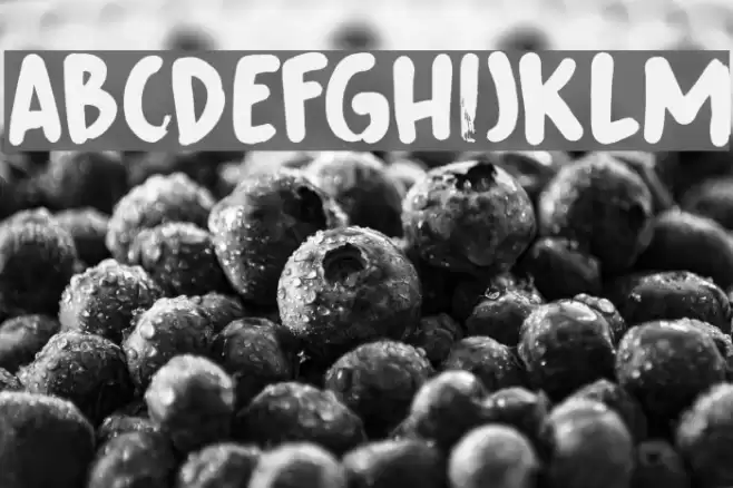 Fingerfood DEMO Regular Font examples