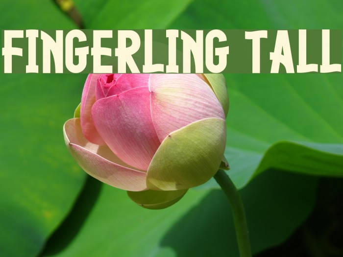 Fingerling Tall Font examples