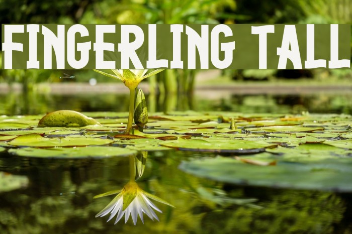 Fingerling Tall Font examples