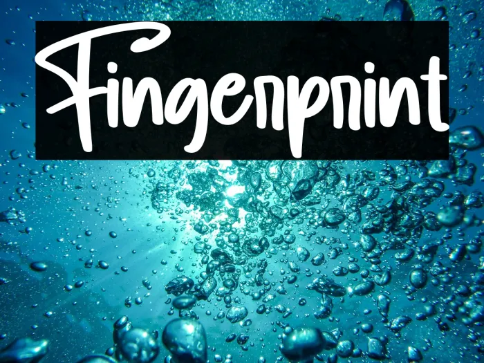 Fingerprint Example 3
