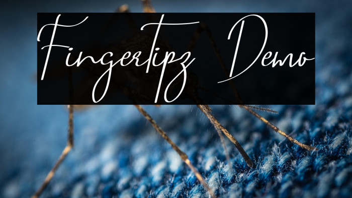 Fingertipz Demo Example 3