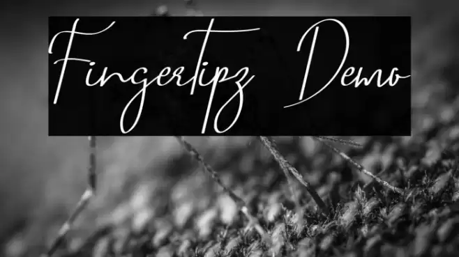 Fingertipz Demo Font examples
