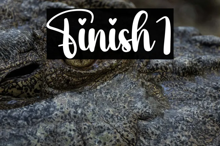 Finish1 Example 2