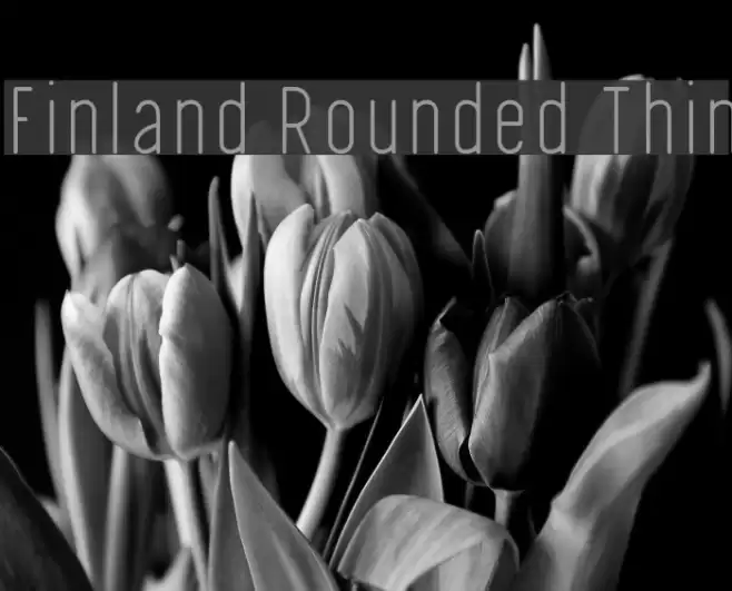 Finland Rounded Thin Font examples