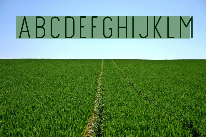 FinlandRounded-Thin Font examples