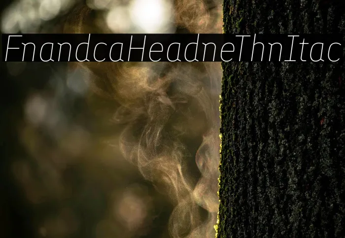 Finlandica Headline Thin Italic Example 1