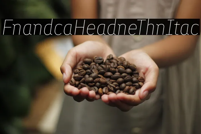 Finlandica Headline Thin Italic Example 3