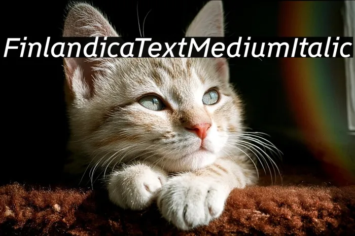 Finlandica Text Medium Italic Example 1