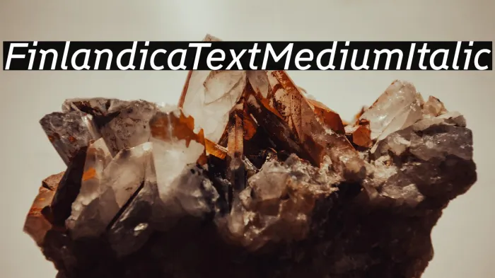 Finlandica Text Medium Italic Example 3