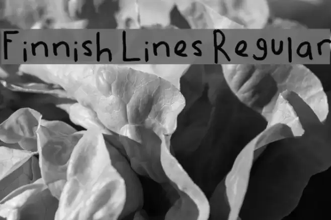 Finnish Lines Regular Font examples