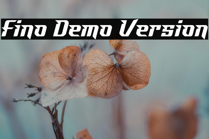 Fino Demo Version Example 1