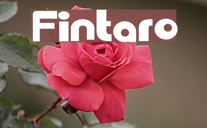 Fintaro Font examples
