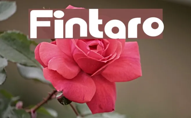 Fintaro Example 1