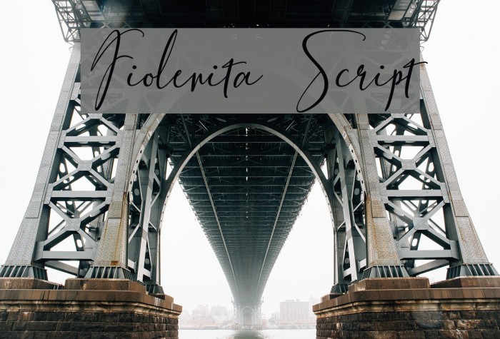 Fiolenita Script Font examples