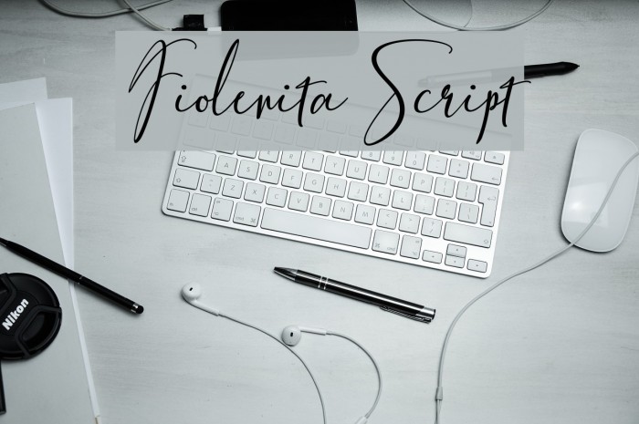 FiolenitaScript Example 2