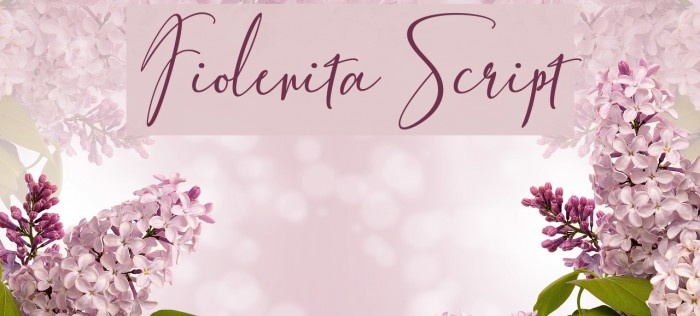 FiolenitaScript Example 3