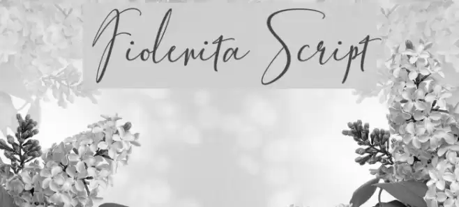 FiolenitaScript Font examples