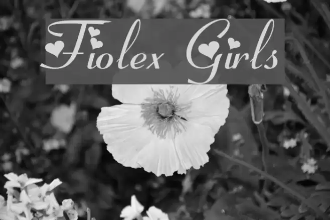 Fiolex Girls Font examples