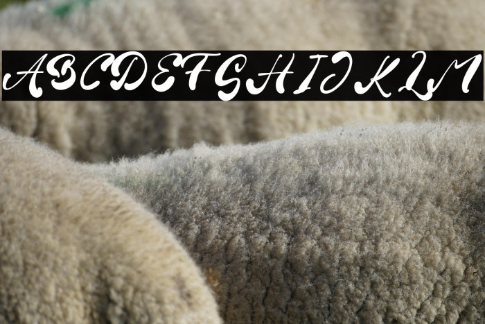 Fiona Brown Example 1