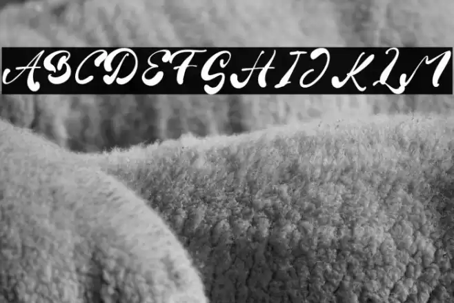 Fiona Brown Font examples