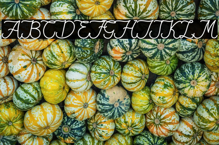 Fiona Lattina Example 3