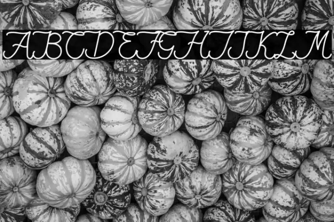 Fiona Lattina Font examples