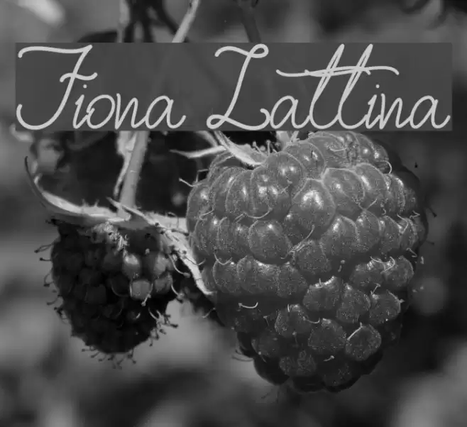Fiona Lattina Font examples