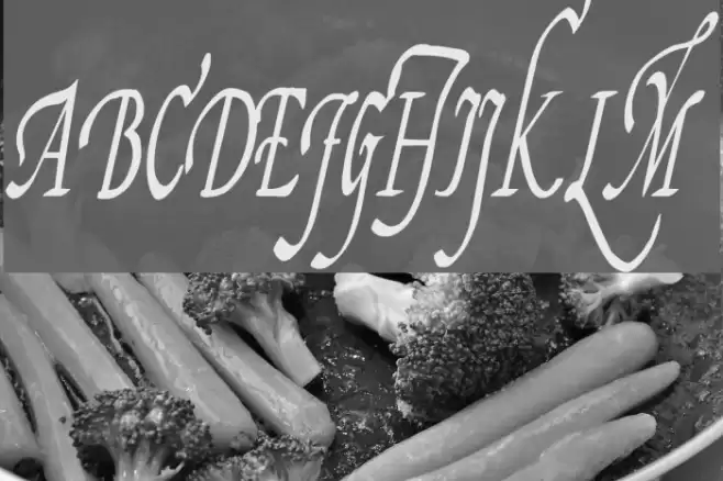 Fiorenza II Font examples