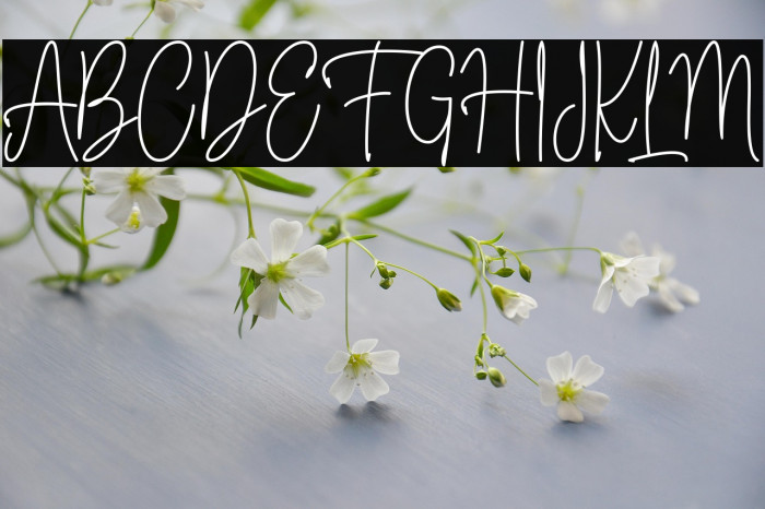 Fioretta Millano Example 2