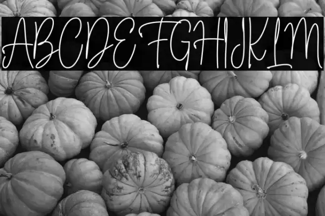 Fioretta Millano Font examples