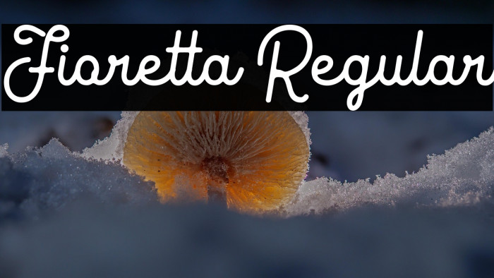 Fioretta Regular Example 2