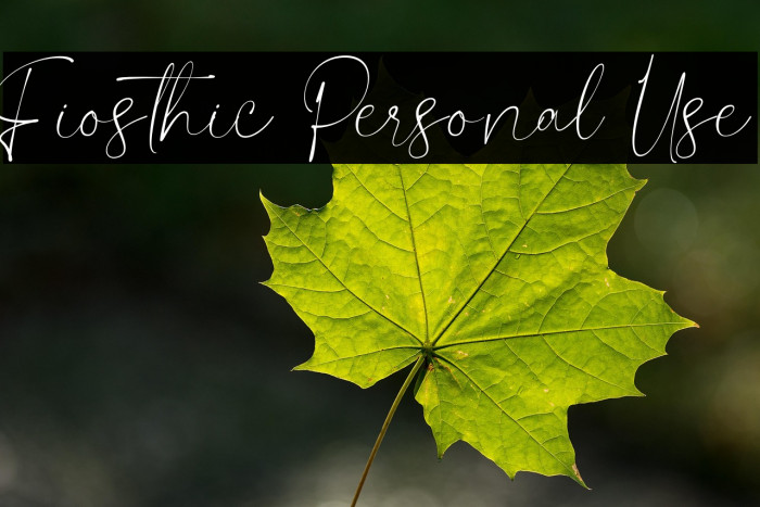 Fiosthic Personal Use Example 1