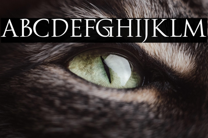 Fipty Serif Example 1