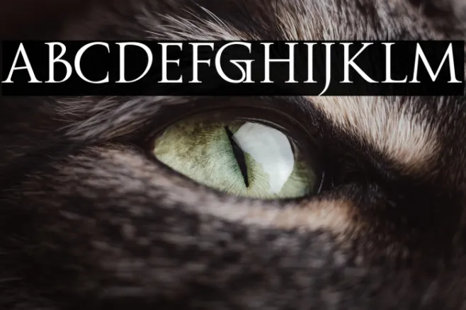 Fipty Serif Example 1