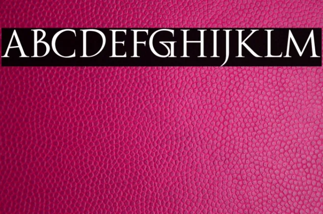 Fipty Serif Example 2